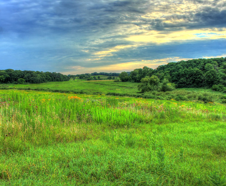 environment